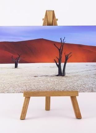 "eternal", dead vlei, namibia2 фото