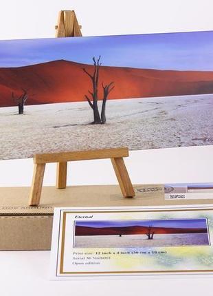 "eternal", dead vlei, namibia