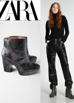 Sale черевички zara анімалістичні 40-41