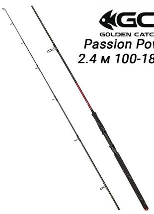 Спінінг 2.4 м тест 100-180 г gc passion power