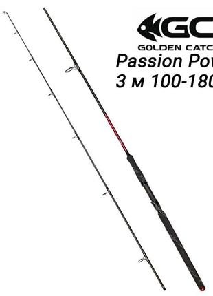 Спінінг 3 м тест 100-180 г gc passion power