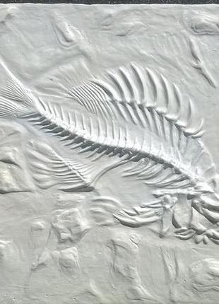 Рыба имитация окаменелости 0021 фото