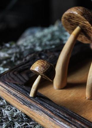 Настенный декор деревянные грибы рамка из дерева вырезной декор3 фото