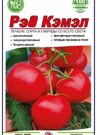Томат ред кемел пакет 100 насіння