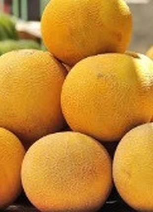 Диня медова казка пакет 30 насіння