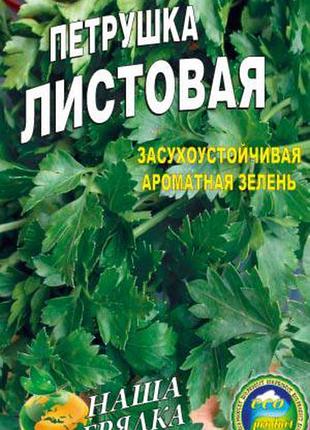 Петрушка листова 3000 насіння