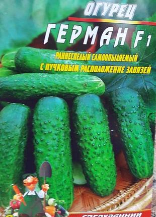 Огірок герман f1 40 насіння