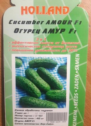 Огірок амур f1 (драж) 35-40 насіння