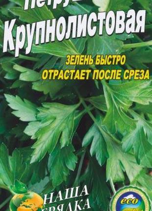Петрушка великолистова 3000 насіння
