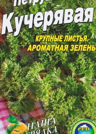 Петрушка кучерява 3000 насіння