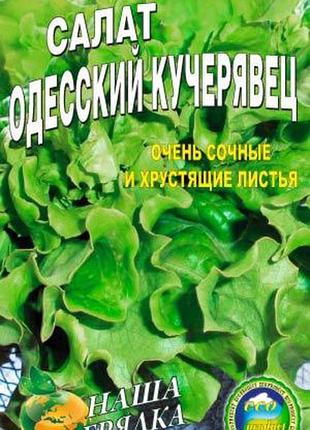 Салат одеський кучерявець 1500 насіння