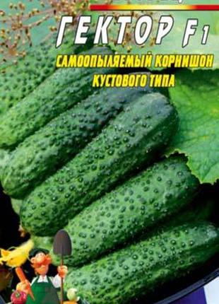 Огірок гектор f1 30 насіння