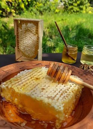 Стільниковий мед 500 грамів