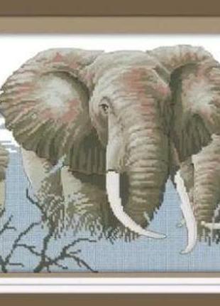Набор для вышивания по нанесённой на канву схеме "holy elephants". aida 14ct printed, 54*30 см