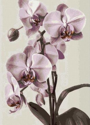 Цифрова схема вишивання хрестом - "орхідея" 27х40 см1 фото