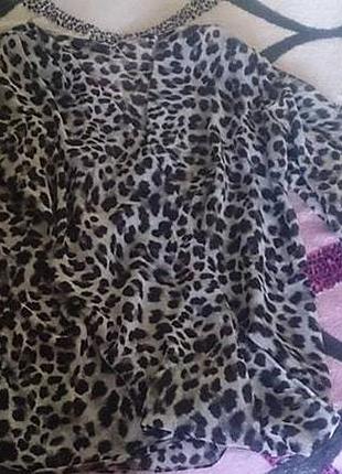 Легенька шифонова блуза