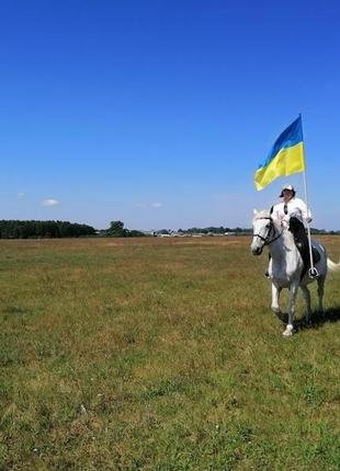 Підкова справжня9 фото