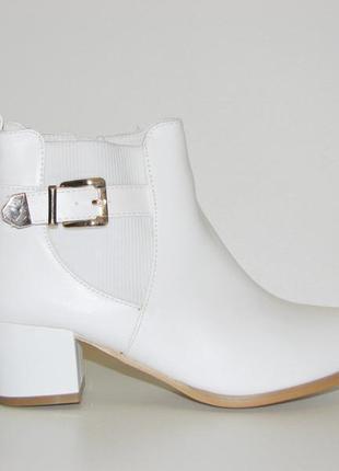Жіночі білі ботильйони черевики маленький каблук розмір 36 387 фото
