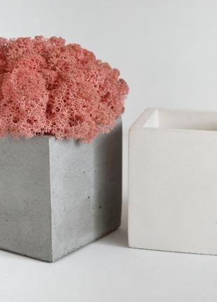 Куб из бетона с розовым мхом. кашпо с мхом.