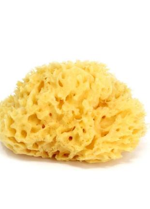 Губка морська натуральна ok baby "silk fine sea sponge" розмір...