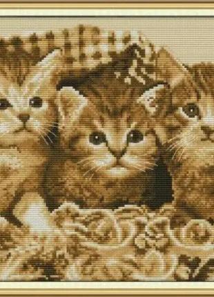 Набор для вышивания по нанесённой на канву схеме "three little kittens 2". aida 14ct printed 35*30 см