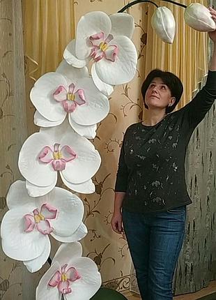 Світильник орхідеї