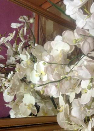 Декор інтер'єр - орхідея біла штучна, 21 шт (66-99 см)...2 фото