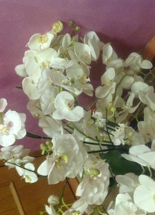 Декор інтер'єр - орхідея біла штучна, 21 шт (66-99 см)...3 фото