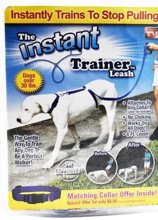 Повідець для собак