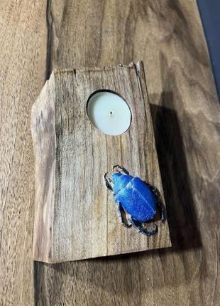 Свічник зі спила горіха з жуком під чайну свічку2 фото