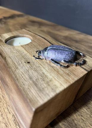 Подсвечник со спила ореха с жуком под чайную свечу8 фото