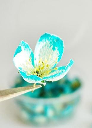 Набір сухоцвітів для творчості квіти жасмину сині квіти для епоксидної смоли (№ 5)glassy dry flowers6 фото
