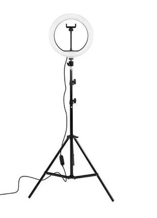 Комплект кільцевая лампа 26см + штатив 2м