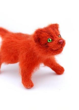 Рыжий котенок рудольфус2 фото