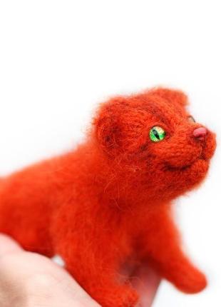 Рыжий котенок рудольфус