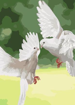 Картина за номерами ідейка білосніжні голуби 40*40см kho4149
