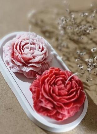 Свічка квітка