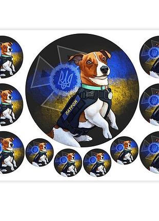 Сахарная бумага (печать сахарных картинок)