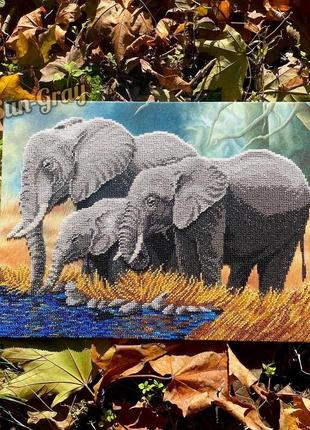 Картина бісером «слони в савані»1 фото
