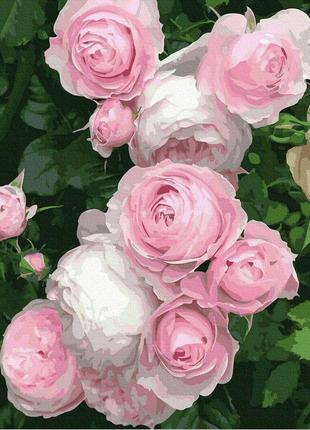 Картина за номерами "садові троянди" gx38392