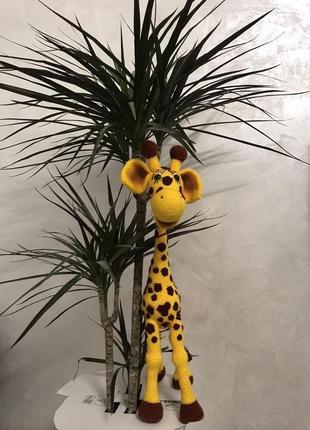 Жираф веселун