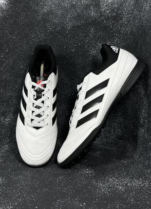 Сороконожки adidas goletto trainers1 фото