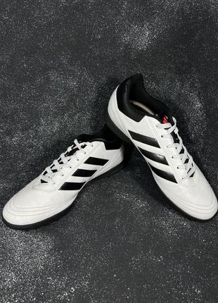 Сороканіжки adidas goletto trainers3 фото