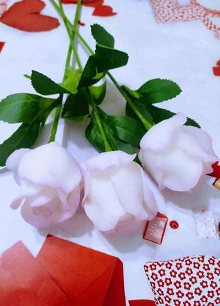 Роза в конусе9 фото