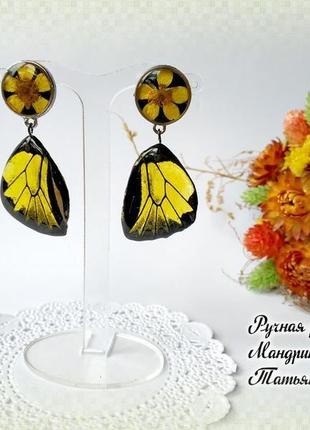 Сережки з крил метеликів "з жовтцем"4 фото