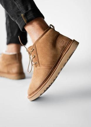 Зимние женские, мужские угги на меху ugg neumel chestnut коричневые (уггі)