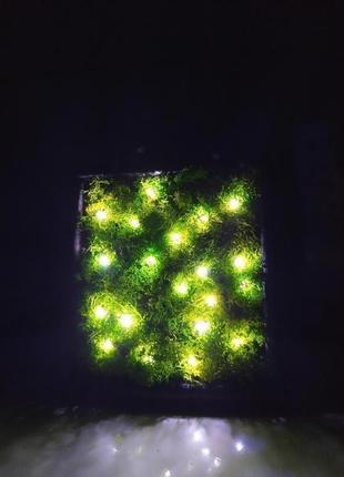Moss smin 9