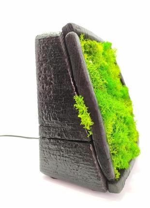 Moss smin 2