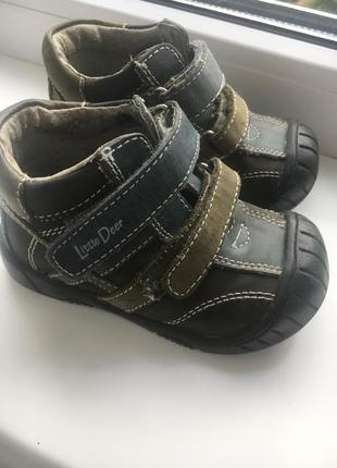 Черевики little deer