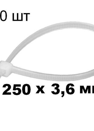 Хомути, 250 x 3,6 мм, пластикові, білі, 100 шт сort